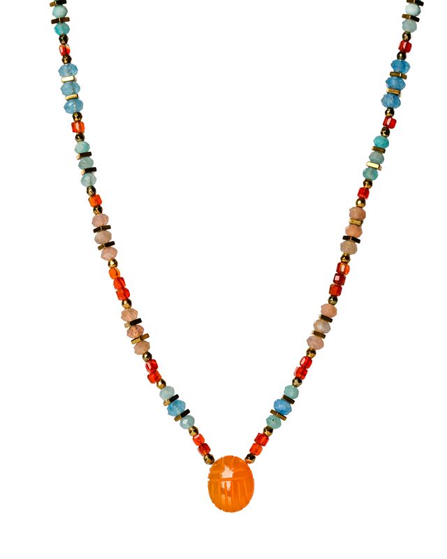 Carnelian beetle